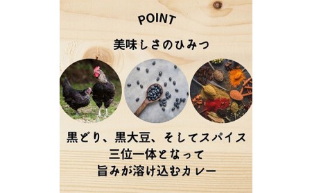 地鶏丹波黒どりと京都府産黒大豆のキーマカリー 6箱 鶏肉 レトルトカレー 6人前 黒豆 常温 キーマカレー ご当地 丹波山本 チキン