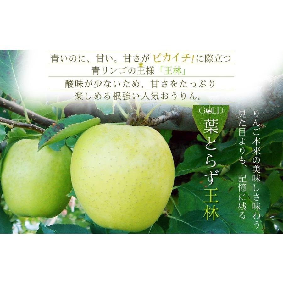 葉っぱの影は甘さのサイン贈答用(8-10玉)青森 送料無料 [※産地直送のため同梱不可]「GOLD」