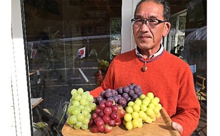 越冬 ぶどうシャイン マスカット 1房 約600g 岡山県産 四代目 五果苑