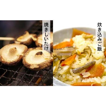 ふるさと納税 訳あり 中身美人の新鮮しいたけ 750g 兵庫県相生市