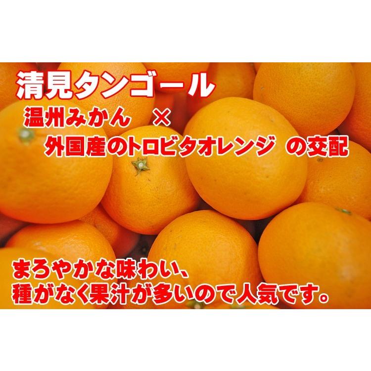 愛媛西宇和産　清見　訳あり家庭用　５ｋｇ送料無料　産地直送