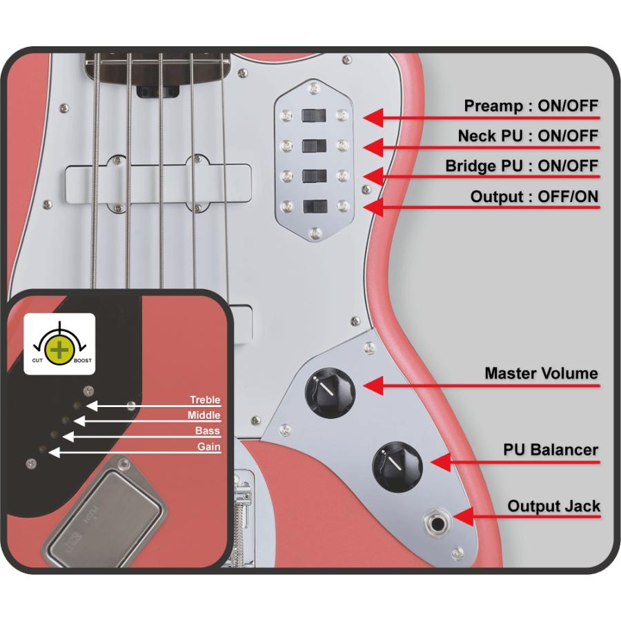 EDWARDS E-BASS V  tetsuya Signature Model