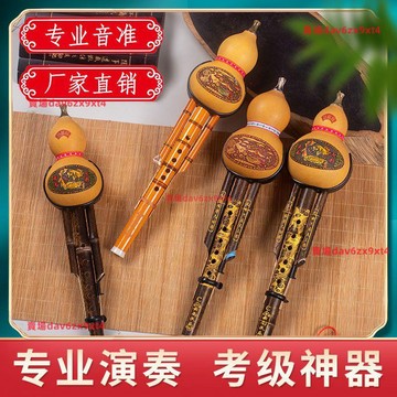 天然紫竹雙音葫蘆絲樂器成人小學生兒童初學者演奏葫蘆絲c調降b調好用