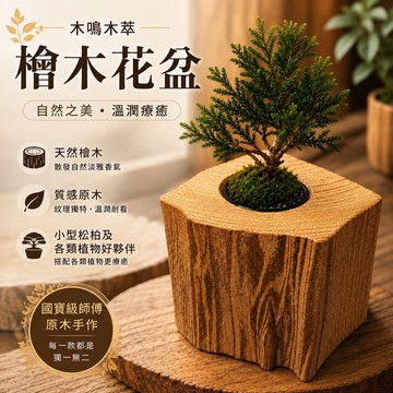 【木鳴木萃 檜木花盆】台灣檜木原木手作｜玻璃內膽 小型盆栽 多肉 松柏 桌面擺飾 原木花器 送禮