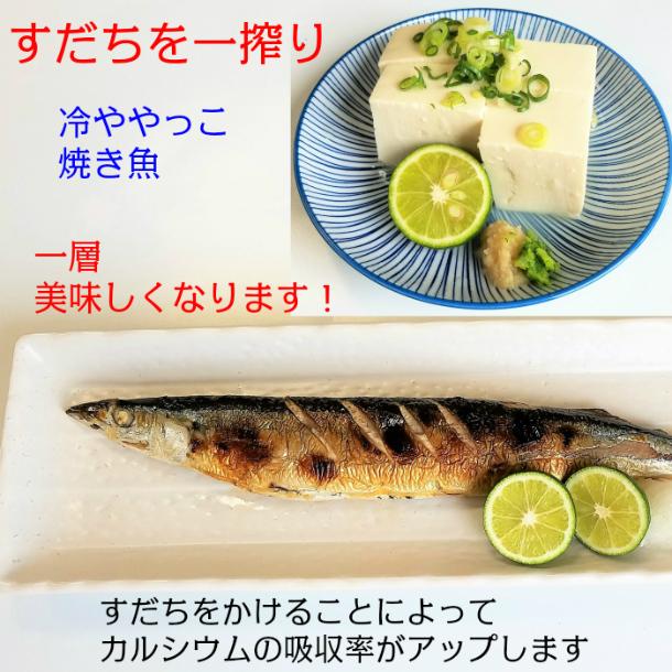 すだち 徳島産 秀品 冷蔵物 2L 1kg箱入り 送料無料 ラッピング無料 スダチ 酢橘 柑橘類 薬味 のし ギフト