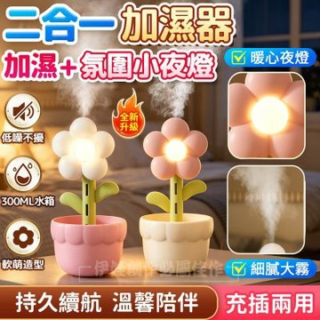 二合一超靜音夜燈加濕器 桌面空氣清淨機 噴霧器 緩解乾燥 300ML 納米霧化加濕機