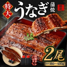 国産「特大うなぎ蒲焼」2尾(460～500g)と特製タレ2個