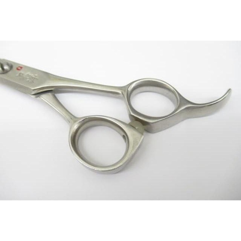 はさみ 天洋 G golden Tenyo