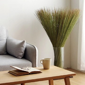 *日本池彥IKEHIKO 原生藺草束 Grass Object