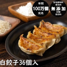 年間100万個完売!餃子の餃天の