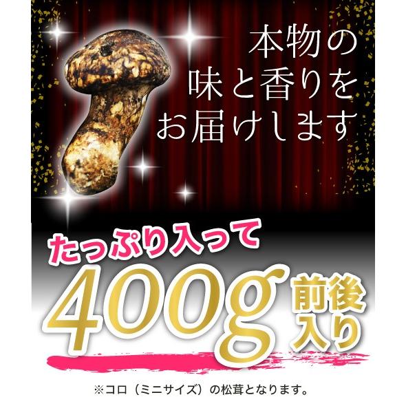 2024年分予約 利平栗1kgおまけ付 国産 松茸 コロ(ミニサイズ) 400g前後 マツタケ まつたけ 岡山 ギフト 産地直送 SSS 10j