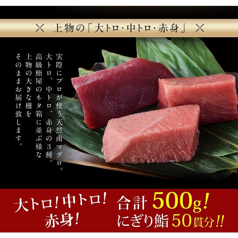 マグロ 鮪 まぐろ 天然南マグロ (インドマグロ) 大トロ・中トロ・赤身 合計500g 鮨屋が使う上物をお届け！ 送料無料 ※冷凍