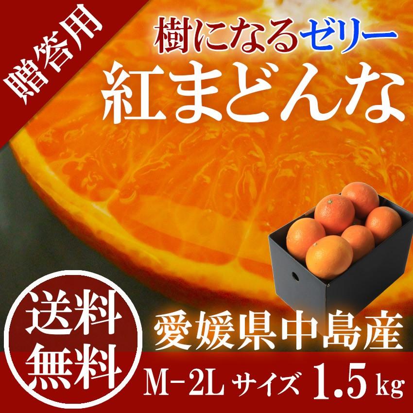 2023 お歳暮 ギフト 紅まどんな 1.5kg 青秀 L-2L 6-10玉入 中島産 みかん ミカン 贈答用 愛媛県産 御歳暮 紅マドンナ フルーツ