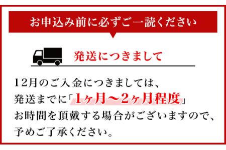 66-9贅沢3種セット（ローストビーフ・ハンバーグ・ビーフシチュー各2セット）