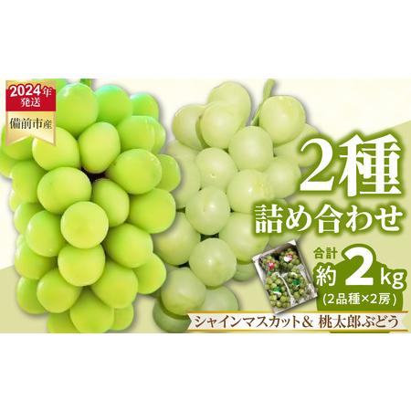 ふるさと納税 備前市産　シャインマスカット2房と桃太郎ぶどう2房の詰め合わせ 岡山県備前市