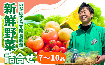 季節の野菜詰合せセット 8~10品