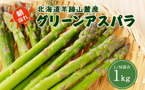 北海道 グリーンアスパラガス 約1kg M-L サイズ混合 アスパラガス アスパラ 朝採れ 採れたて 新鮮 野菜 農作物 産直 国産 羊蹄山麓産 JAようてい 送料無料 北海道 倶知安町