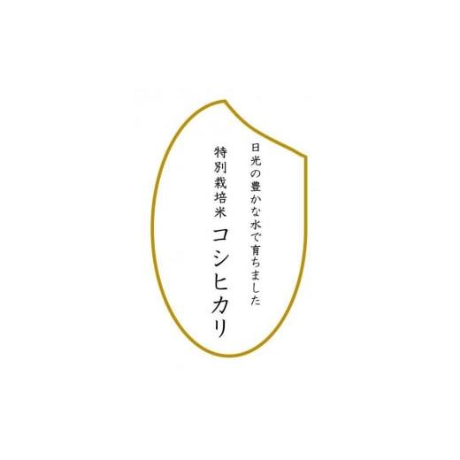 ふるさと納税 栃木県 日光市 令和5年産　特別栽培米コシヒカリ　玄米10kg（5kg×2袋）