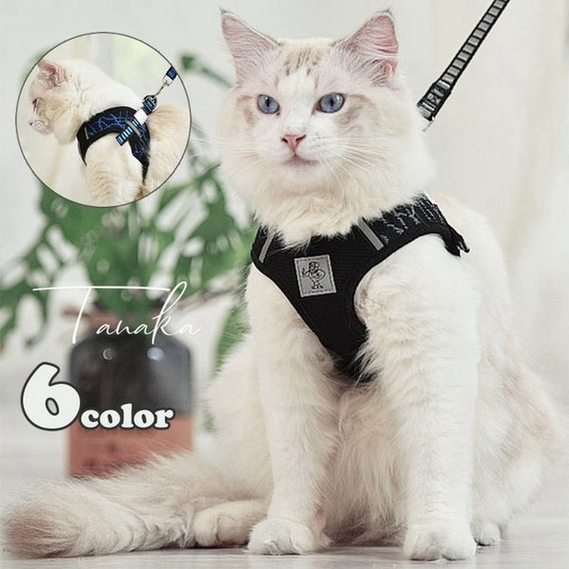 ハーネス リード ペットグッズ ペット用品 小型犬用 猫用 リーシュ お散歩グッズ お出かけ 牽引紐 おしゃれ 黒 ブラック 通販 Lineポイント最大0 5 Get Lineショッピング