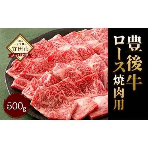 ふるさと納税 大分県 竹田市 大分県竹田産 おおいた和牛 ロース 焼肉用 