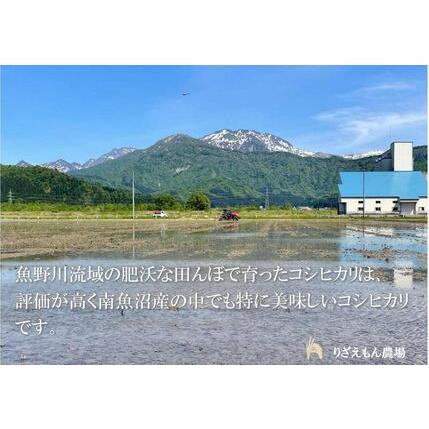 ふるさと納税 令和５年産　南魚沼産コシヒカリ　白米5kg　＼生産農家直送／ 新潟県南魚沼市