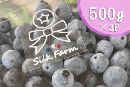 シルクファーム産　冷凍ブルーベリー1500g（500g×3パック）