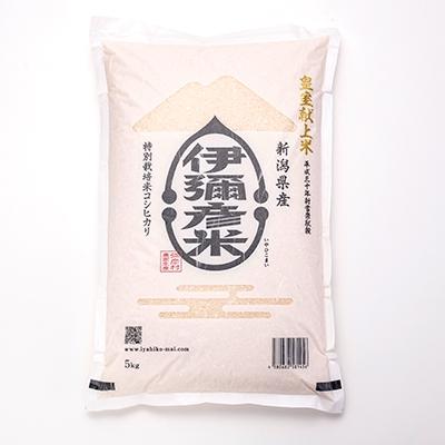 ふるさと納税 弥彦村 精米5kg×2袋　パックごはん4パック