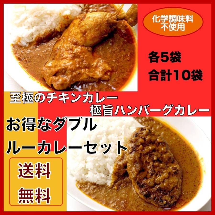 送料無料 スパイス カレーセット 骨付きチキンカレー 5袋 ハンバーグカレー５袋　合計１０袋　詰め合わせ　セット