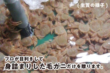 ＜2024年1月から順次発送＞ 北海道産 かに 浜ゆで 毛がに 3尾 計 900g 以上 ＜ 予約商品 ＞ 毛ガニ 毛がに かに 北海道 毛ガニ 毛がに かに 冷蔵 毛蟹 けがに 蟹 カニ かに味噌 カニ味噌 新鮮 旬 ボイル 浜茹で 海鮮 海産物 新鮮 旬 魚介 蟹味噌 みそ