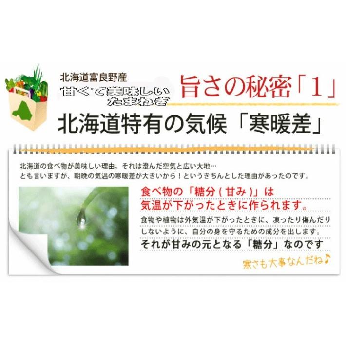 たまねぎ 北海道富良野産 玉ねぎ 秀品 Lサイズ 15玉 約3kg 送料無料