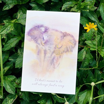 明信片 卡片 水彩畫作 大象 可愛 動物 賀卡