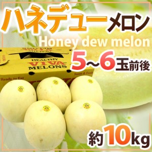 ”ハネデューメロン” 5～6玉前後 約10kg メキシコ・アメリカ産 他 送料無料