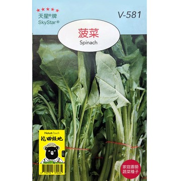 花田綠地種子-菠菜