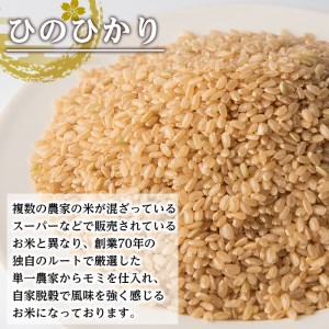 i504 ＜2023年11月上旬から順次発送＞令和5年産！鹿児島県出水市産ひのひかり玄米＜3kg×2袋・計6kg＞自家脱穀で風味を強く感じるお米！