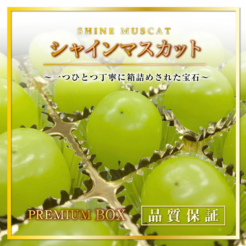 [最短順次発送]  シャインマスカット 20粒 5Lサイズ プレミアムボックス ジュエルボックス 長野 山梨県産 高糖度 マスカット 夏ギフト 暑中見舞い 夏ギフト お中元 御中元