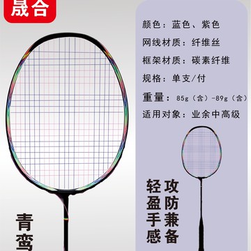 碳素纖維羽毛球拍單支專業級攻守兼備型成人學生高檔商務拍包【益三和】可開發票