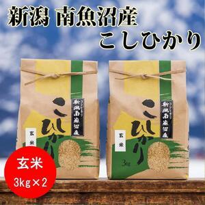 ふるさと納税 南魚沼産コシヒカリ(玄米3kg×2袋)を全6回 新潟県南魚沼市