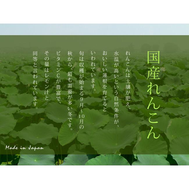 国産れんこんスライス水煮 120g×2袋(国内産蓮根)煮物や炒め物など色々なお料理にお使いください。(レンコン水煮 和風料理)