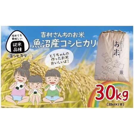 ふるさと納税 ｜従来品種｜ 魚沼産 コシヒカリ 30kg  米 こしひかり お米 コメ 新潟 魚沼 魚沼産 白米 送料無料 新潟県産 精米 産直 農家直送 .. 新潟県十日町市