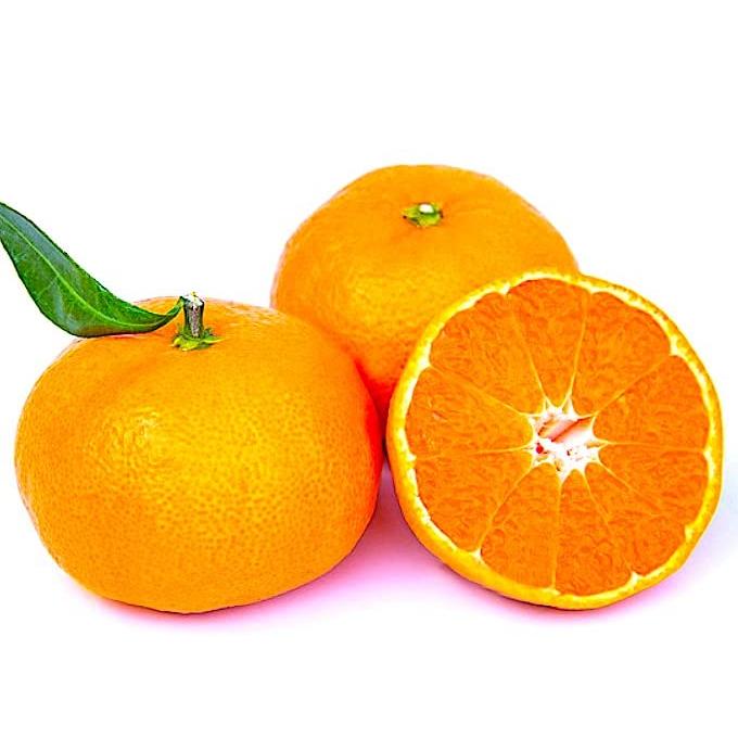 気軽に 「温州みかん」 約５kg 世界が驚く「Japanese Orange」の美味しさを再発見 専用化粧箱 贈答にも 愛媛ほか旬の産地から