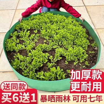 🔥種植袋特大號無紡佈樓頂陽臺種菜袋神器超特大美植袋帆佈毛氈袋 OP3W