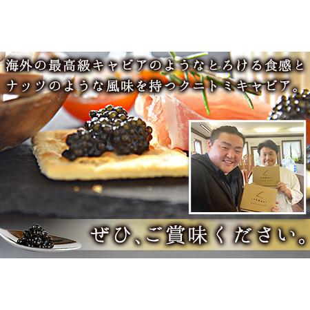 ふるさと納税 ＜クニトミキャビア40g（20g×2）＞翌月末迄に順次出荷 宮崎県国富町