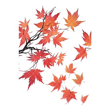 宜楓情 PET 紙膠帶 貝殼光