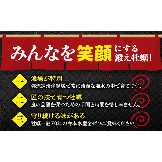 ふるさと納税 広島県 江田島市 他の牡蠣とは味がちがう！広島産 大粒 鍛え牡蠣 むき身 2Lサイズ（冷凍）計3kg 牡蠣 広島 むき身 殻むき不要料理 簡単 江田島市…