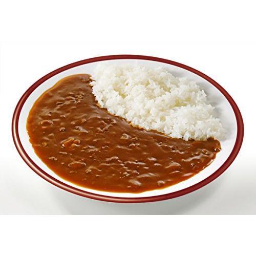 ハチ食品 メガ盛りカレーハヤシ300g×20個