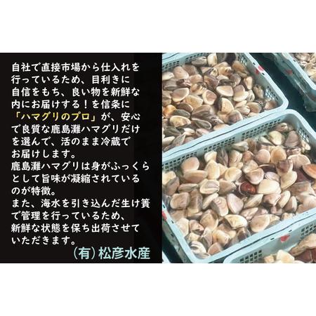 ふるさと納税  期間限定 鹿島灘 ハマグリ 訳あり 2kg 砂抜き済み はまぐり 蛤 わけあり 国産 天然 茨城県産 鹿島灘産 焼.. 茨城県大洗町