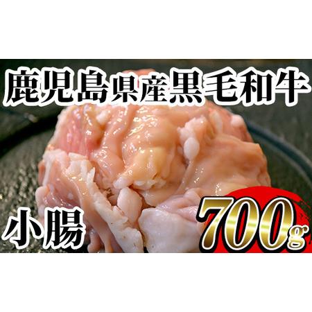 ふるさと納税 黒毛和牛小腸 約700g 鹿児島県産黒毛和牛小腸を急速冷凍して新鮮な状態で小分けして保存しています。もつ鍋・焼肉にどう.. 鹿児島県いちき串木野市