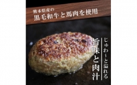 こだわり手作り生ハンバーグ 100g×20個