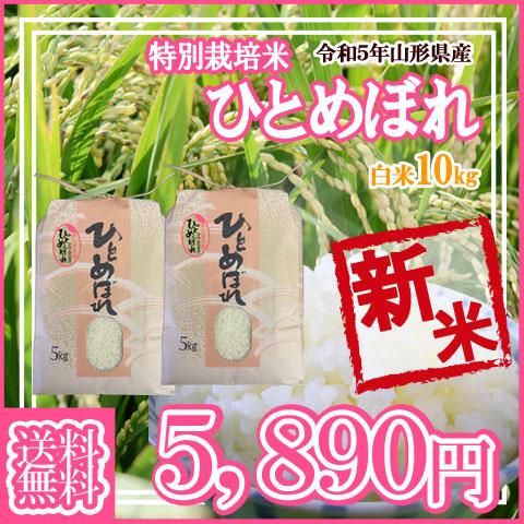 令和5年産 新米 送料無料 山形県産 特別栽培米 ひとめぼれ 白米 5kg×2 10キロ 十キロ お米 おこめ 10kg