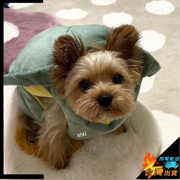 【台灣出貨】寵物衣服 烏龜殼 寵物龜殼 寶寶可穿 貓咪 狗狗 萌物裝扮 寵物搞怪衣服